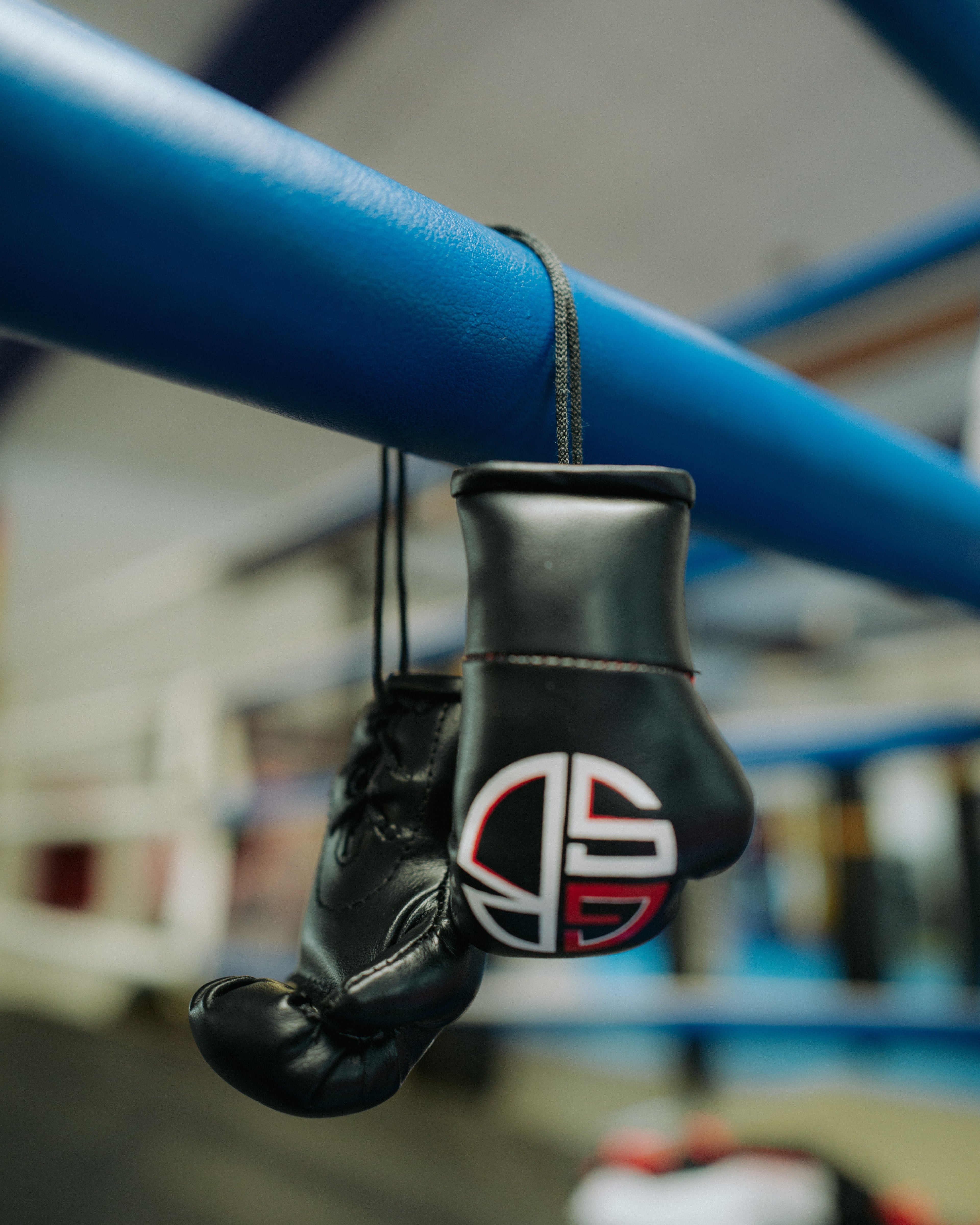 GSB Mini Boxing Gloves