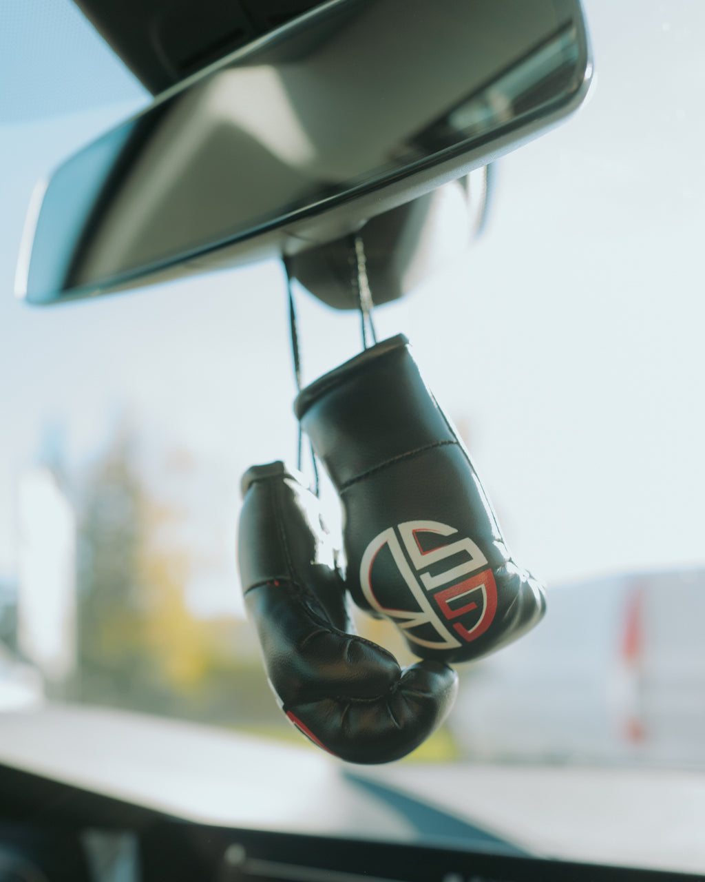 GSB Mini Boxing Gloves