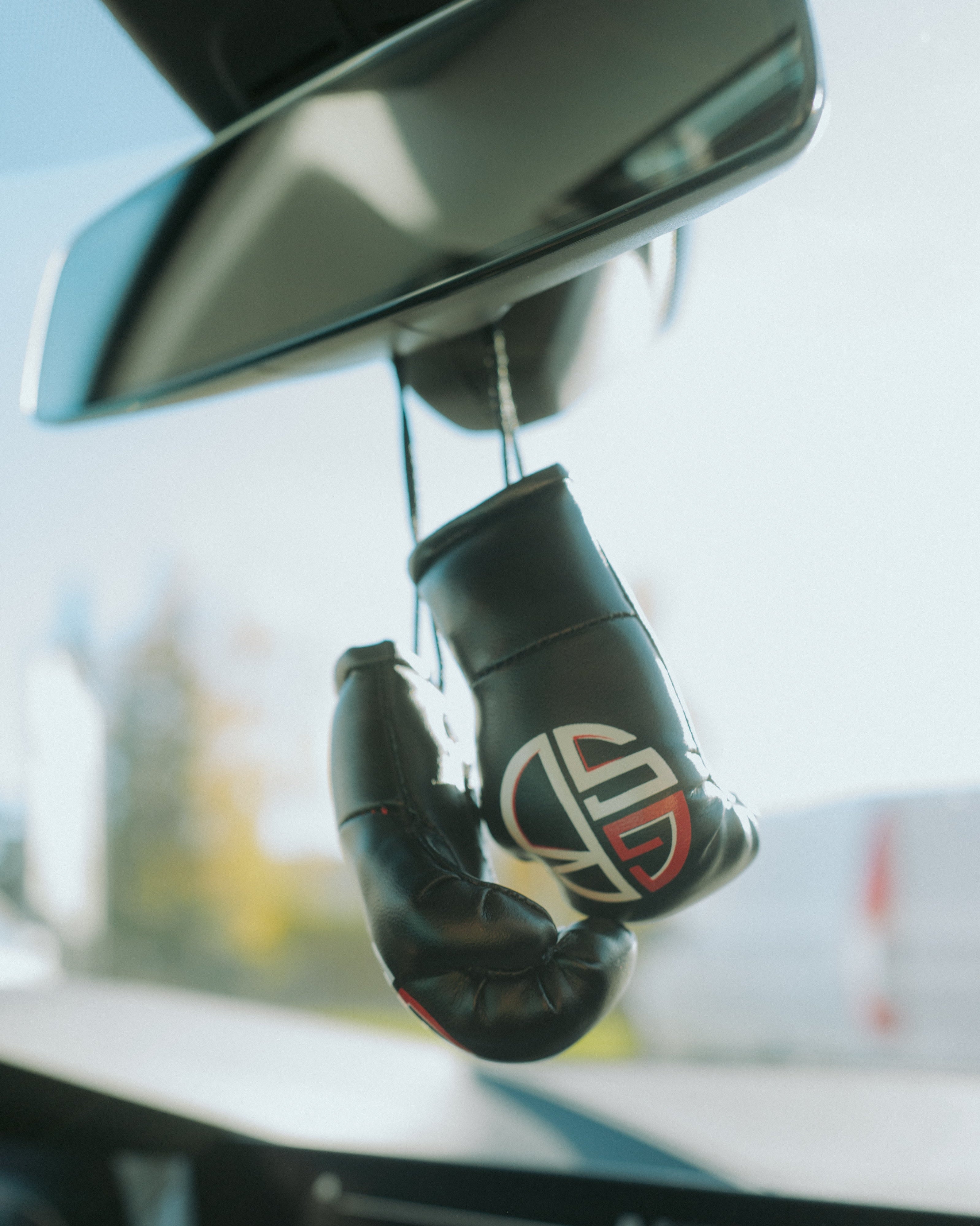 GSB Mini Boxing Gloves